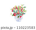水彩で描いた赤い身の鉢植えのイラスト 110223583