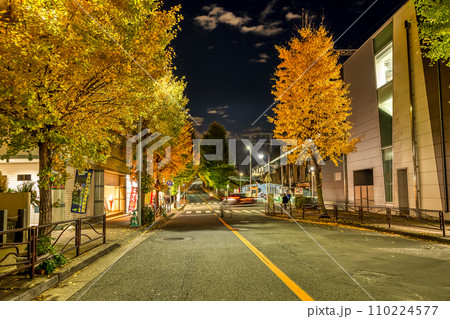 川崎市宮前区の都市風景　宮前平駅 110224577