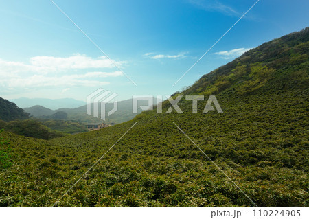 The mountains are covered with green plants that look like bamboo. 110224905