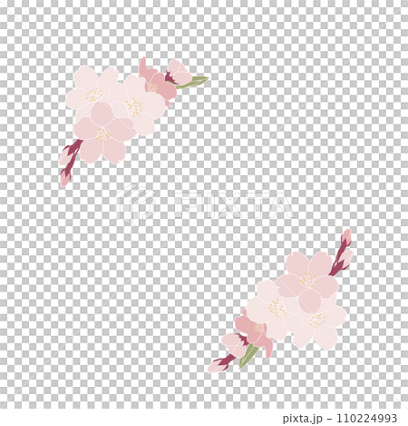 桜吹雪の背景素材 110224993