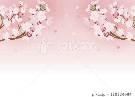 桜吹雪の背景素材 110224994