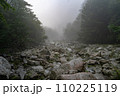 9月下旬の鳳凰三山、ドンドコ沢コースの山道の景観 110225119