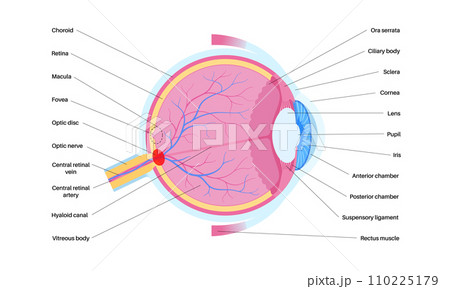 Blind spot poster Blind spot poster 110225179