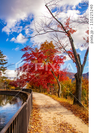 【京都風景】山科疎水　晩秋の紅葉が彩る水路沿いの散歩道 110225240