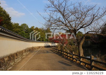兵庫 姫路 早朝の姫路城内堀と紅葉 兵庫 姫路 早朝の姫路城内堀と紅葉 110226229