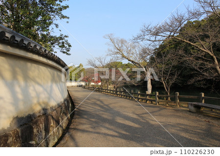 兵庫 姫路 早朝の姫路城内堀と紅葉 兵庫 姫路 早朝の姫路城内堀と紅葉 110226230