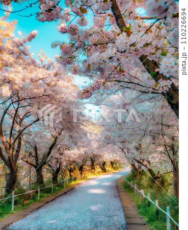 満開の桜  華麗に舞い散る桜の花びら 110226694
