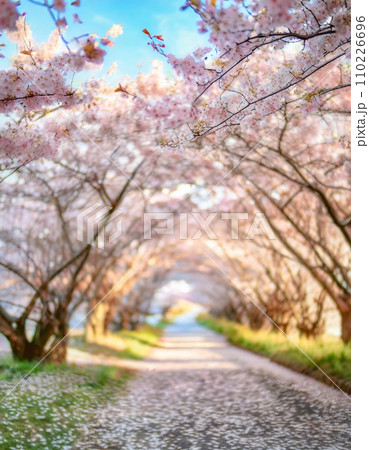満開の桜 華麗に舞い散る桜の花びら 満開の桜 華麗に舞い散る桜の花びら 110226696