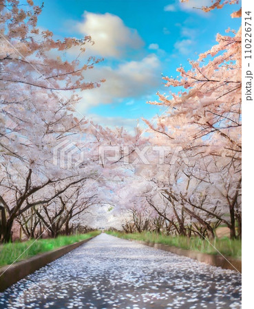 満開の桜 華麗に舞い散る桜の花びら 満開の桜 華麗に舞い散る桜の花びら 110226714