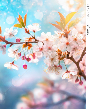 満開の桜 華麗に舞い散る桜の花びら 満開の桜 華麗に舞い散る桜の花びら 110226717