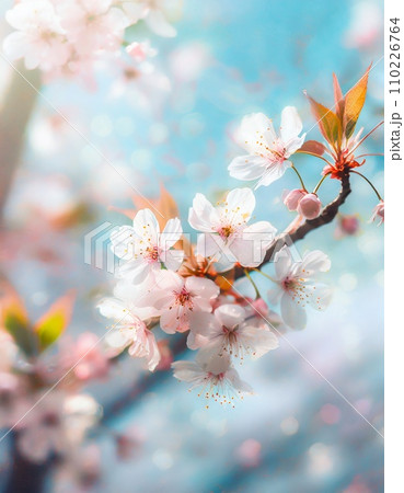 満開の桜  華麗に舞い散る桜の花びら 110226764