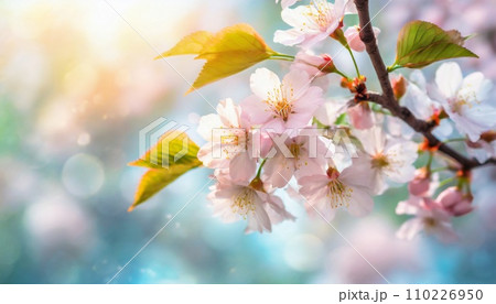 満開の桜  華麗に舞い散る桜の花びら 110226950
