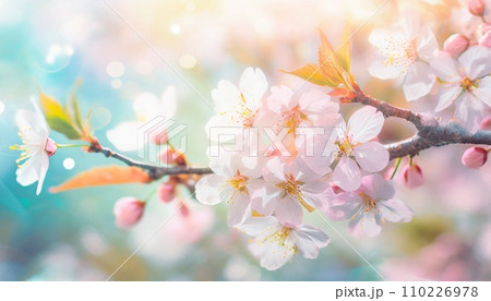 満開の桜  華麗に舞い散る桜の花びら 110226978