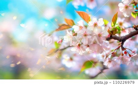 満開の桜  華麗に舞い散る桜の花びら 110226979