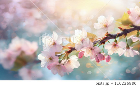 満開の桜  華麗に舞い散る桜の花びら 110226980