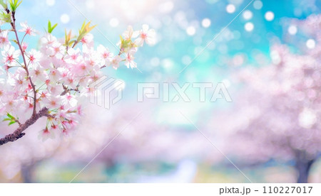 満開の桜 華麗に舞い散る桜の花びら 満開の桜 華麗に舞い散る桜の花びら 110227017
