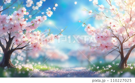 満開の桜  華麗に舞い散る桜の花びら 110227025