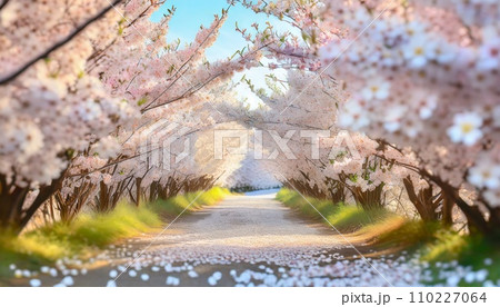 満開の桜  華麗に舞い散る桜の花びら 110227064