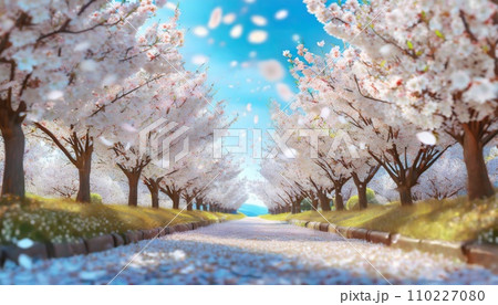 満開の桜 華麗に舞い散る桜の花びら 満開の桜 華麗に舞い散る桜の花びら 110227080