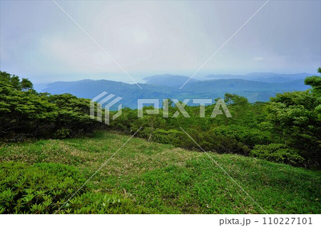 五葉山の石楠花付近から見る三陸海岸 110227101