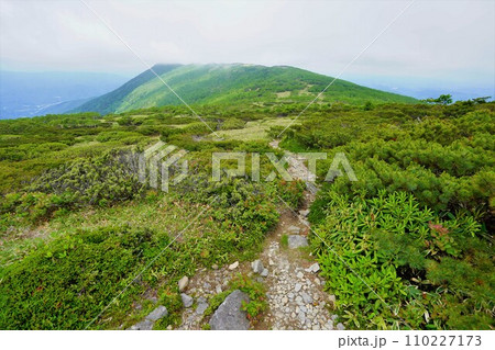五葉山の稜線と黒岩 五葉山の稜線と黒岩 110227173