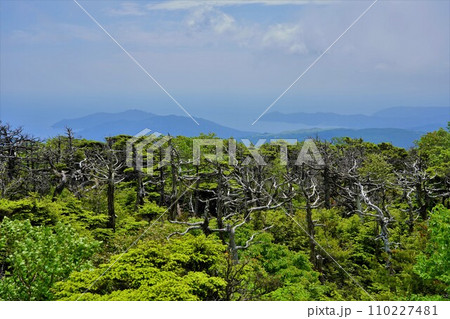 五葉山 五葉山 110227481