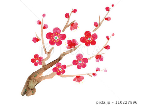 梅の枝 水彩 イラスト 年賀状 背景 素材 梅の枝 水彩 イラスト 年賀状 背景 素材 110227896