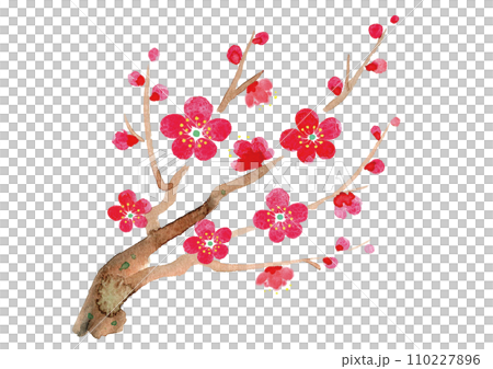 梅の枝 水彩 イラスト 年賀状 背景 素材 梅の枝 水彩 イラスト 年賀状 背景 素材 110227896