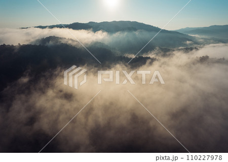 Morning fog in the forest before spring 110227978