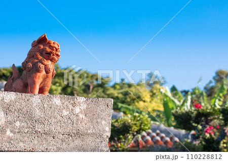 沖縄のシーサーと青い空 110228812