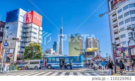 東京の都市風景　正月三が日歩行者天国の浅草 110228962