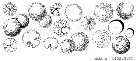 set of trees, hand drawing, top view. architectural ink drawing, vector. 110228970