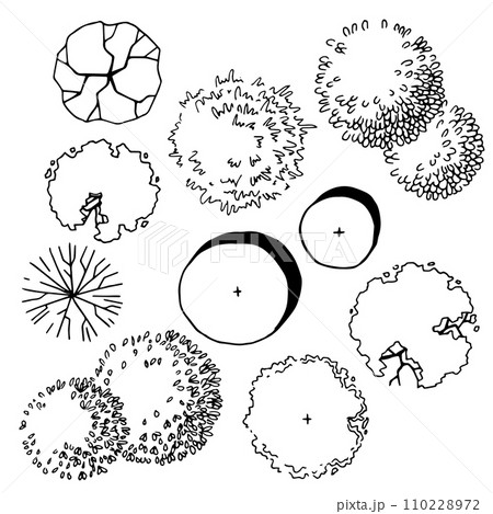 set of trees, hand drawing, top view. architectural ink drawing, vector. 110228972
