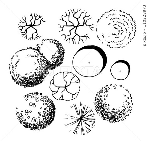 set of trees, hand drawing, top view. architectural ink drawing, vector. 110228973