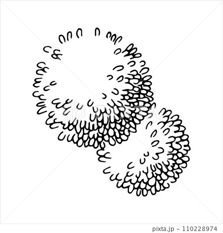 tree, hand drawing, top view. architectural ink drawing, vector. 110228974