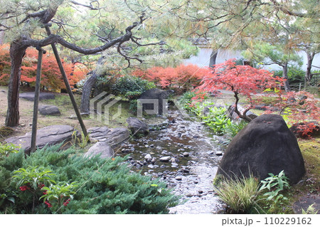 兵庫　姫路　好古園　松の庭と紅葉 110229162
