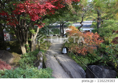兵庫　姫路　好古園　松の庭と紅葉 110229163