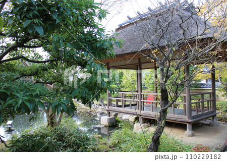 兵庫 姫路 好古園 築山池泉の庭 兵庫 姫路 好古園 築山池泉の庭 110229182