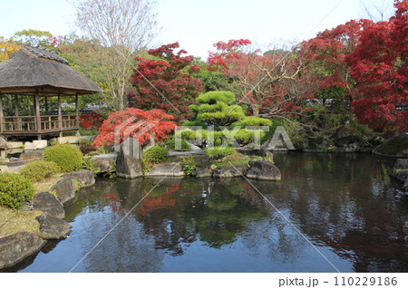 兵庫 姫路 好古園 築山池泉の庭と紅葉 兵庫 姫路 好古園 築山池泉の庭と紅葉 110229186