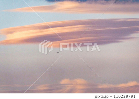 夕焼けの吊し雲 110229791