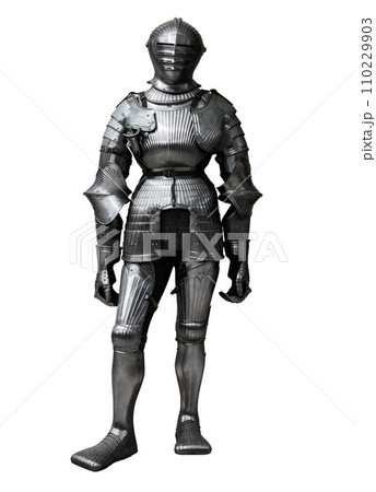 knight isolated on white background 110229903
