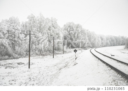 landscape with snow-covered trees 110231065