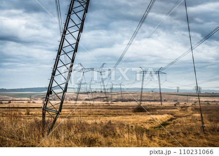 landscape of field with power lines 110231066