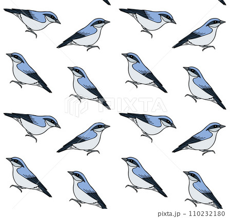 Vector seamless pattern of hand draw nuthatch bird Vector seamless pattern of hand draw nuthatch bird 110232180