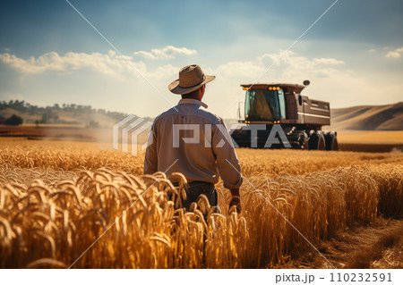 farmer in a wheat field watching a combine harvester in the background 110232591