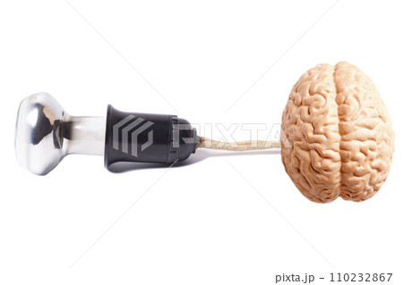 incandescent tungsten mirror reflex lamp with human brain anatomical model 110232867