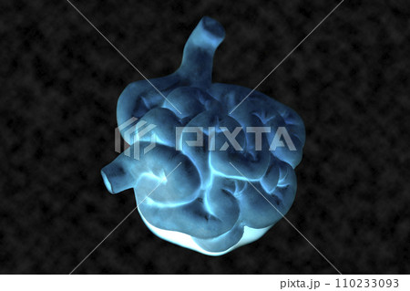 Human small intestine model on a black background,concept of gastroenterology, health care. 110233093