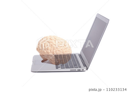 Human brain anatomical model on laptop 110233134