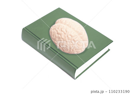 notebook with human brain anatomical model isolated on white background notebook with human brain anatomical model isolated on white background 110233190