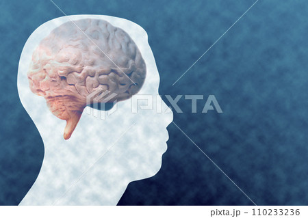 Medical acupuncture model of human with brain anatomical model Medical acupuncture model of human with brain anatomical model 110233236